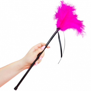 SECRETPLAY - PLUMERO PLUMAS ROSA 40 CM